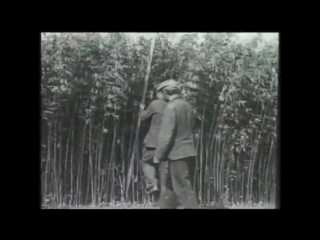 how hemp was harvested in the ussr